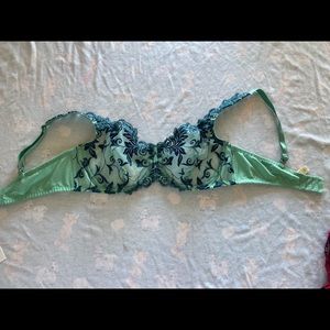 Mint and Blue Sensuous Lace